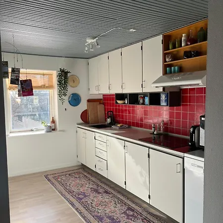 Apartment Charming Townhouse In Citycenter Townhouse - Free Parking Odense